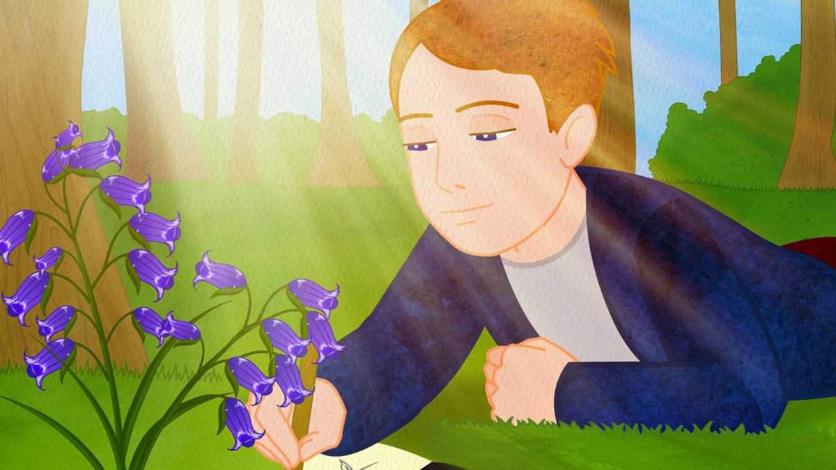 steff-lee-illustration-1