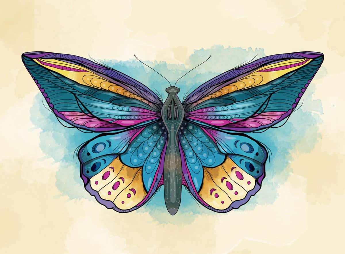 Butterfly-Illustration